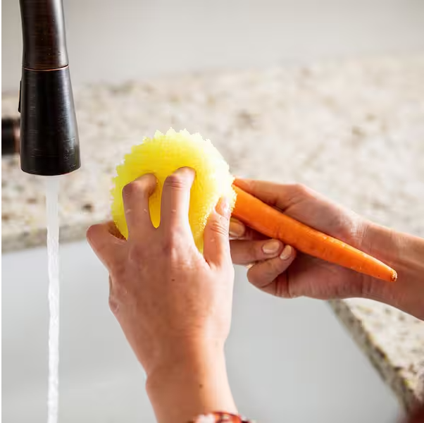 The Original Sponge (4-Count)