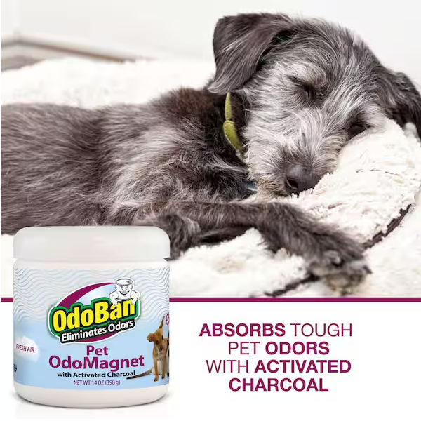 OdoBan 14 oz. OdoMagnet Odor Absorber with Activated Charcoal, Pet Odor Eliminator for Home, Bathroom, Kitchen, Fresh Air Scent