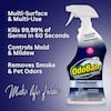 32 oz. Night Ice Multi-Purpose Disinfectant Spray, Odor Eliminator, Sanitizer, Fabric Freshener, Mold Control Spray
