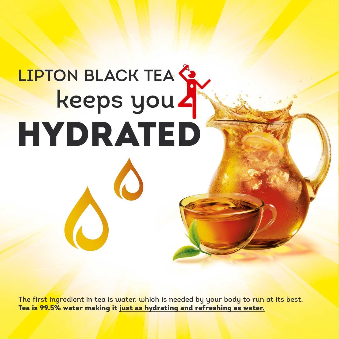 Lipton Iced Tea, Gallon Size Tea Bags, 48 ct.