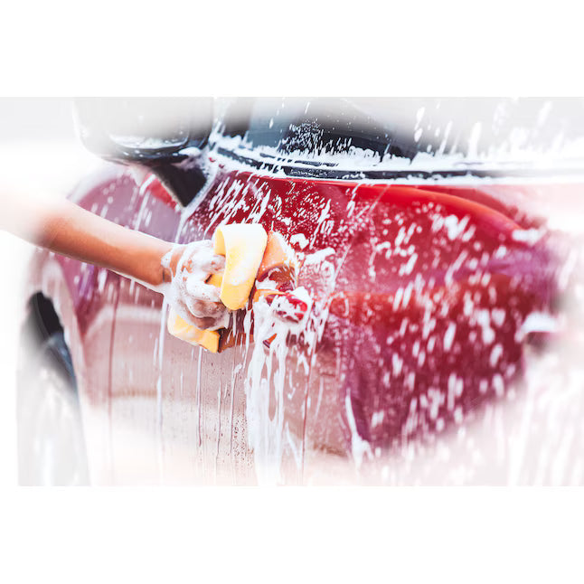 Hopkins Cellulose Sponge