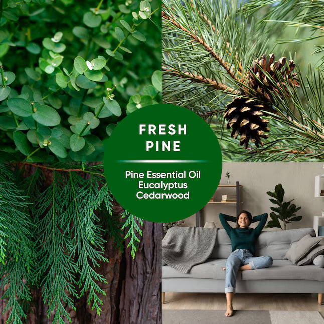 Pinalen Pine Liquid Floor Cleaner 172 -fl oz