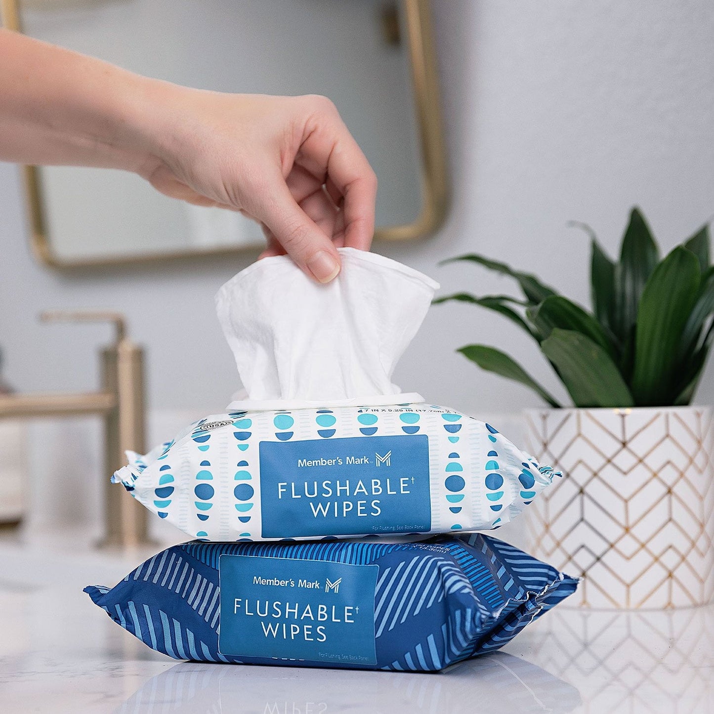 Member's Mark Flushable Wipes, Fresh Scent, 540 ct.