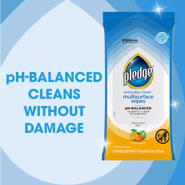 25 Count Multi-Surface Disinfecting Wipes