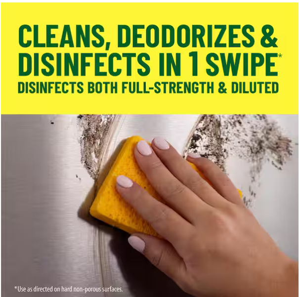 40 oz. Original Disinfecting All-Purpose Cleaner