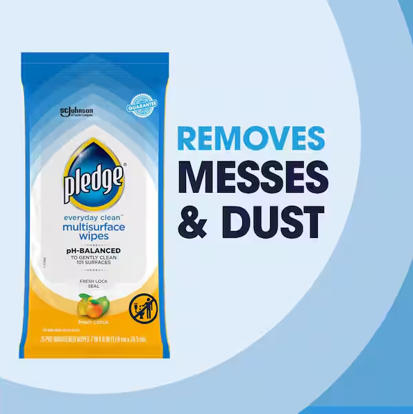 25 Count Multi-Surface Disinfecting Wipes