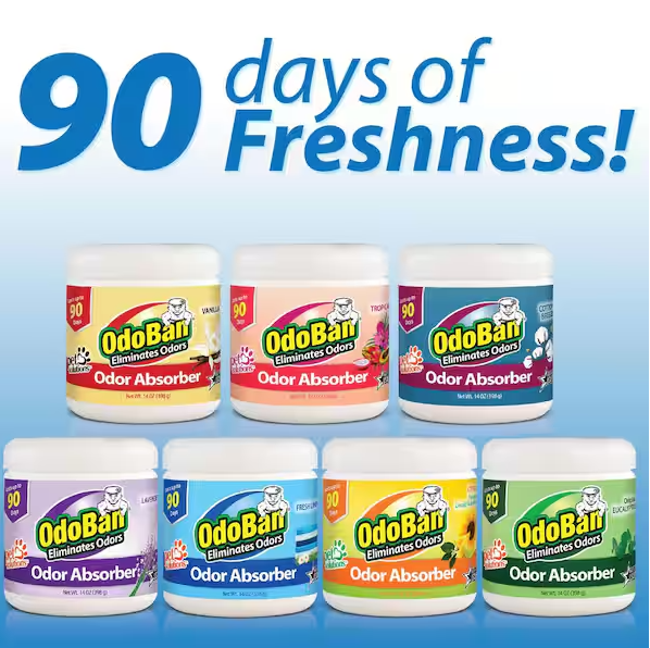 OdoBan 14 oz. Citrus Solid Odor Absorber, Odor Eliminator for Smoke Odor & Musty Smell in Home, Bathroom, Kitchen, Pet Areas