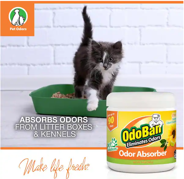 OdoBan 14 oz. Citrus Solid Odor Absorber, Odor Eliminator for Smoke Odor & Musty Smell in Home, Bathroom, Kitchen, Pet Areas
