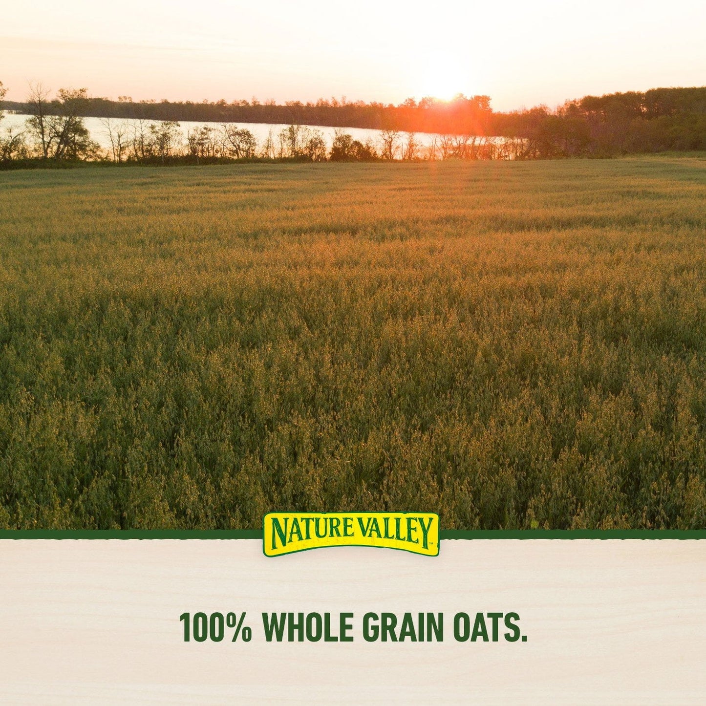 Nature Valley Sweet & Salty Nut Granola Bars – Almond, 36 Count