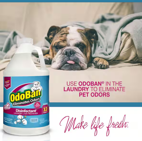 OdoBan 1 Gal. Cotton Breeze Disinfectant and Odor Eliminator, Fabric Freshener, Mold Control, Multi-Purpose Cleaner Concentrate