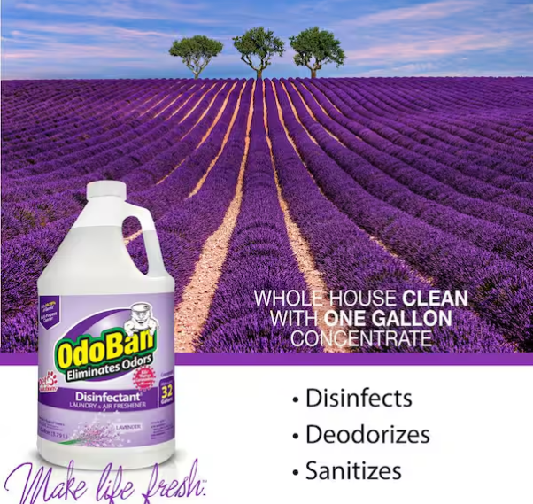 OdoBan 1 Gal. Lavender Disinfectant and Odor Eliminator, Fabric Freshener, Mold Control, Multi-Purpose Cleaner Concentrate
