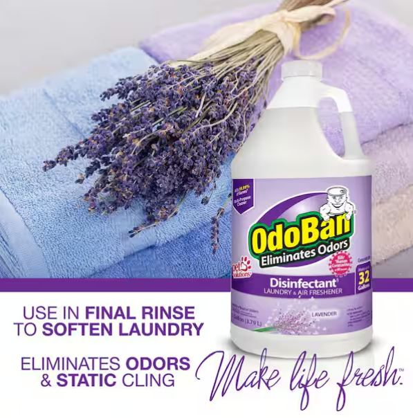 OdoBan 1 Gal. Lavender Disinfectant and Odor Eliminator, Fabric Freshener, Mold Control, Multi-Purpose Cleaner Concentrate
