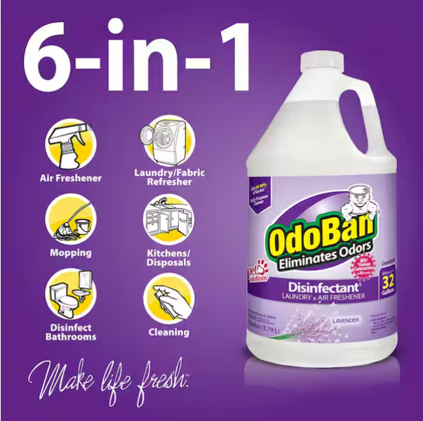 OdoBan 1 Gal. Lavender Disinfectant and Odor Eliminator, Fabric Freshener, Mold Control, Multi-Purpose Cleaner Concentrate