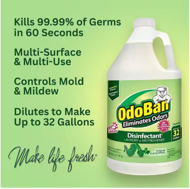 OdoBan 1 Gal. Eucalyptus Disinfectant and Odor Eliminator, Fabric Freshener, Mold Control, Multi-Purpose Cleaner Concentrate