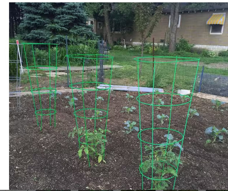 Gardener's Blue Ribbon 54 in. H Green Powder Coated Steel Grow Cage