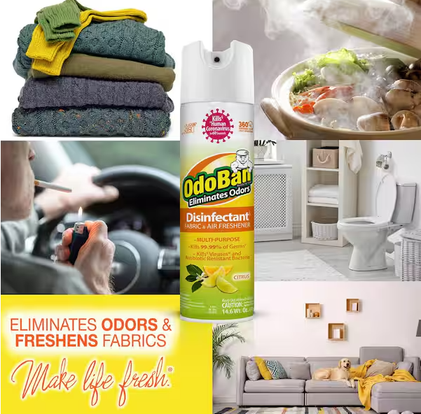 14.6 oz. Citrus Multi-Purpose Disinfectant Spray, Odor Eliminator, Sanitizer, Fabric and Air Freshener