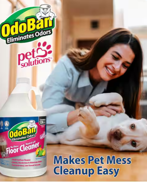 OdoBan 1 Gal. No Rinse Neutral pH Floor Cleaner, Concentrated Hardwood and Laminate Floor Cleaner, Streak Free