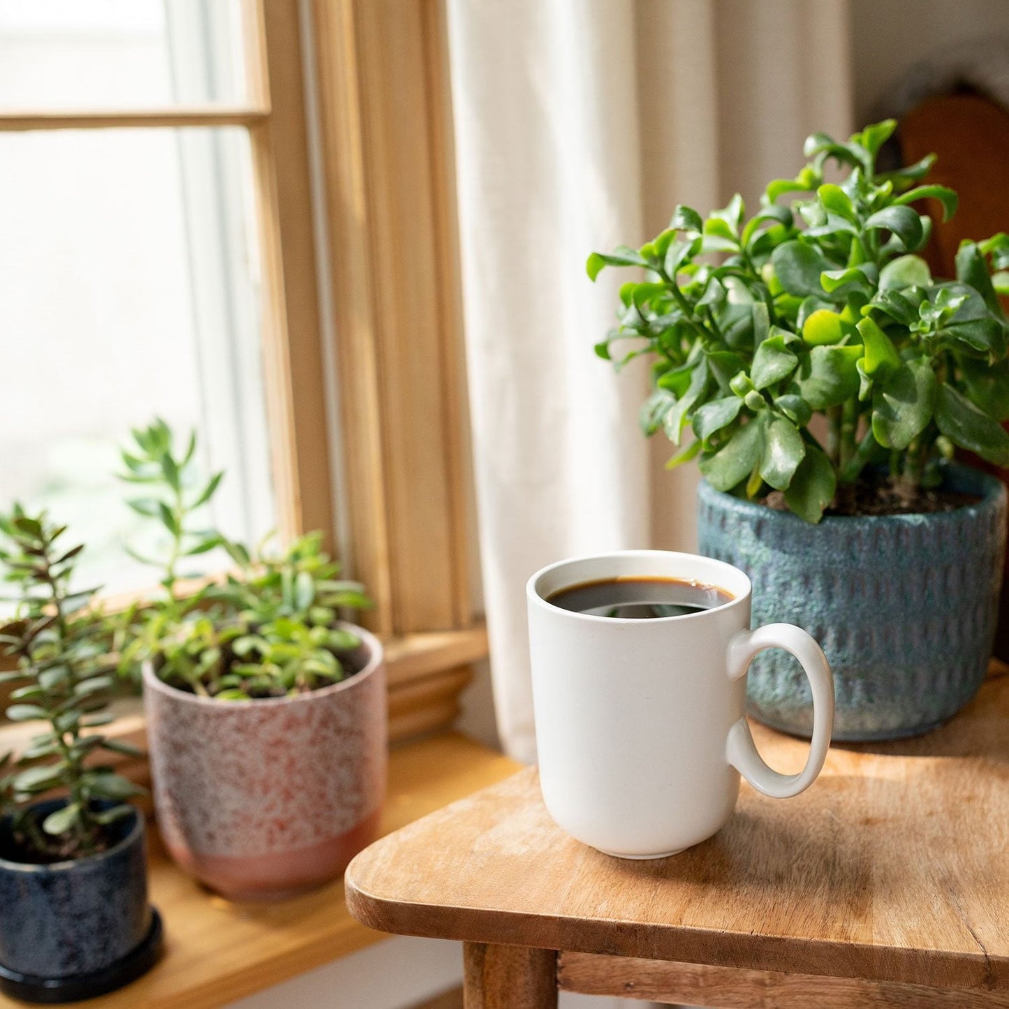 Cameron’s Premium Arabica Coffee – Pacific Rim Blend