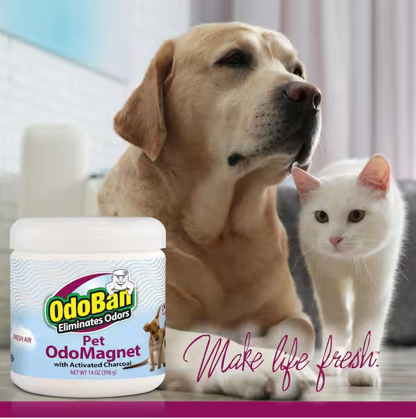 OdoBan 14 oz. OdoMagnet Odor Absorber with Activated Charcoal, Pet Odor Eliminator for Home, Bathroom, Kitchen, Fresh Air Scent