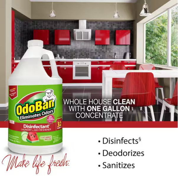 OdoBan 1 Gal. Cucumber Melon Disinfectant, Laundry and Air Freshener, Mold and Mildew Control, Multi-Purpose Concentrate