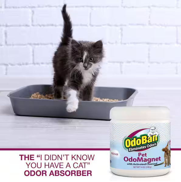 OdoBan 14 oz. OdoMagnet Odor Absorber with Activated Charcoal, Pet Odor Eliminator for Home, Bathroom, Kitchen, Fresh Air Scent