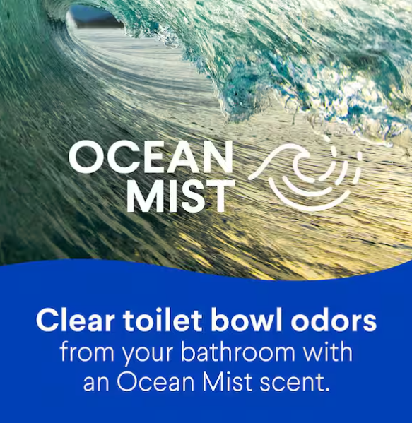 Clorox 24 oz. Ocean Mist Toilet Bowl Cleaner Clinging Bleach Gel (2-Pack)