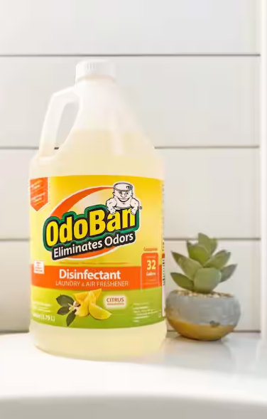OdoBan 1 Gal. Citrus Disinfectant and Odor Eliminator, Fabric Freshener, Mold Control, Multi-Purpose Cleaner Concentrate