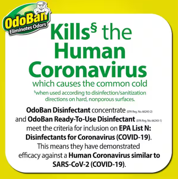 OdoBan 1 Gal. Citrus Disinfectant and Odor Eliminator, Fabric Freshener, Mold Control, Multi-Purpose Cleaner Concentrate
