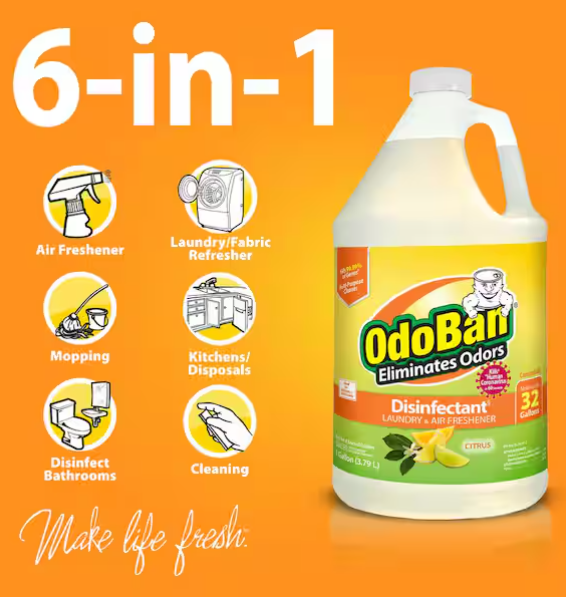 OdoBan 1 Gal. Citrus Disinfectant and Odor Eliminator, Fabric Freshener, Mold Control, Multi-Purpose Cleaner Concentrate