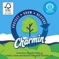 Charmin Ultra Strong 2-Ply Toilet Paper – 231 Sheets per Roll, 32-Roll Pack