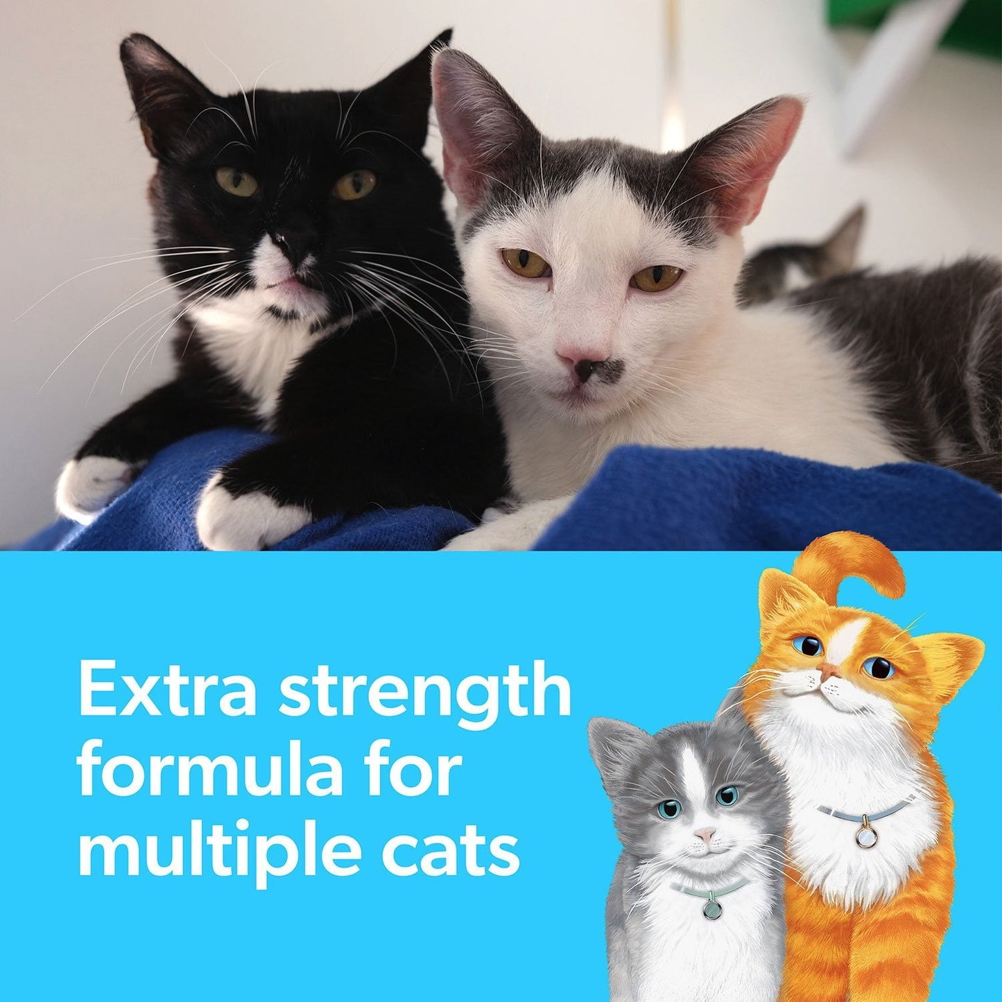 Fresh Step Multi-Cat Scented Clumping Litter with Febreze Freshness – Multi-Cat Formula