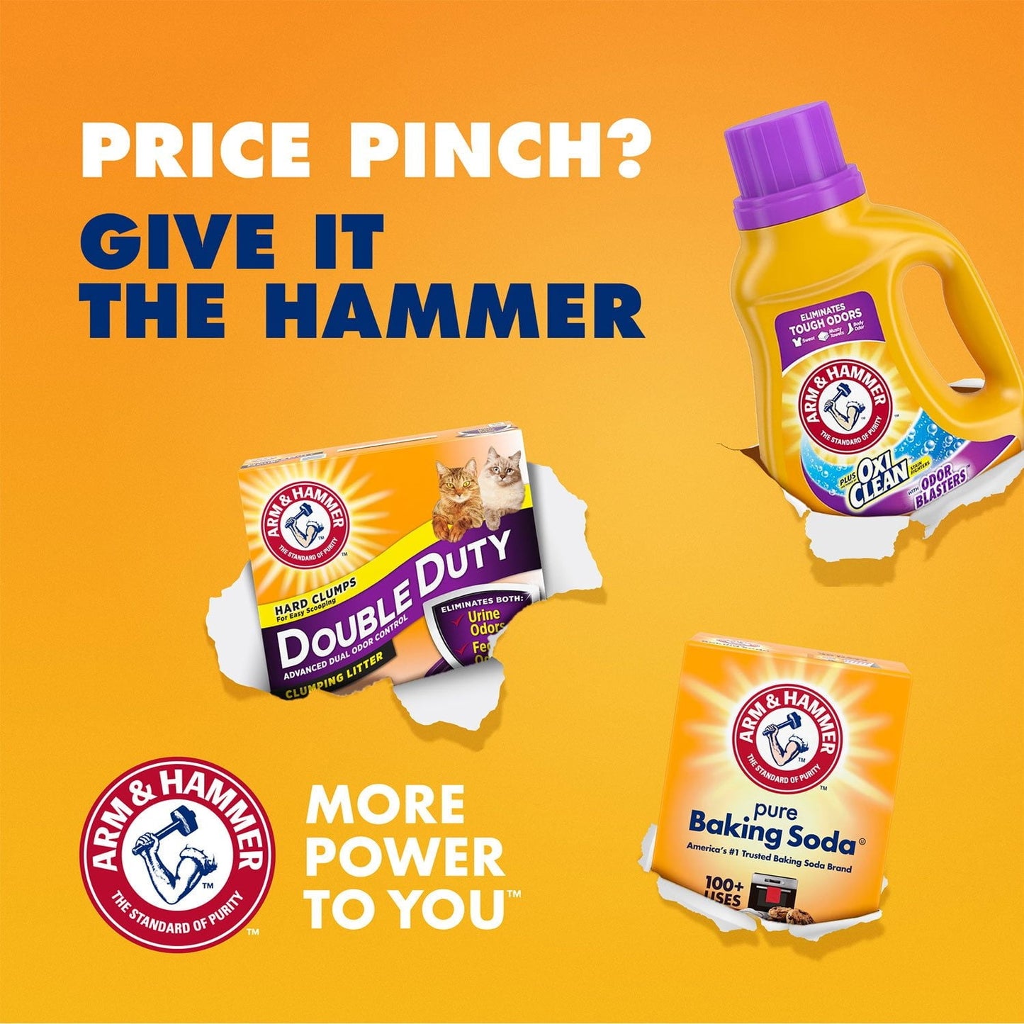 Arm & Hammer Pure Baking Soda – 13.5 lb Bag