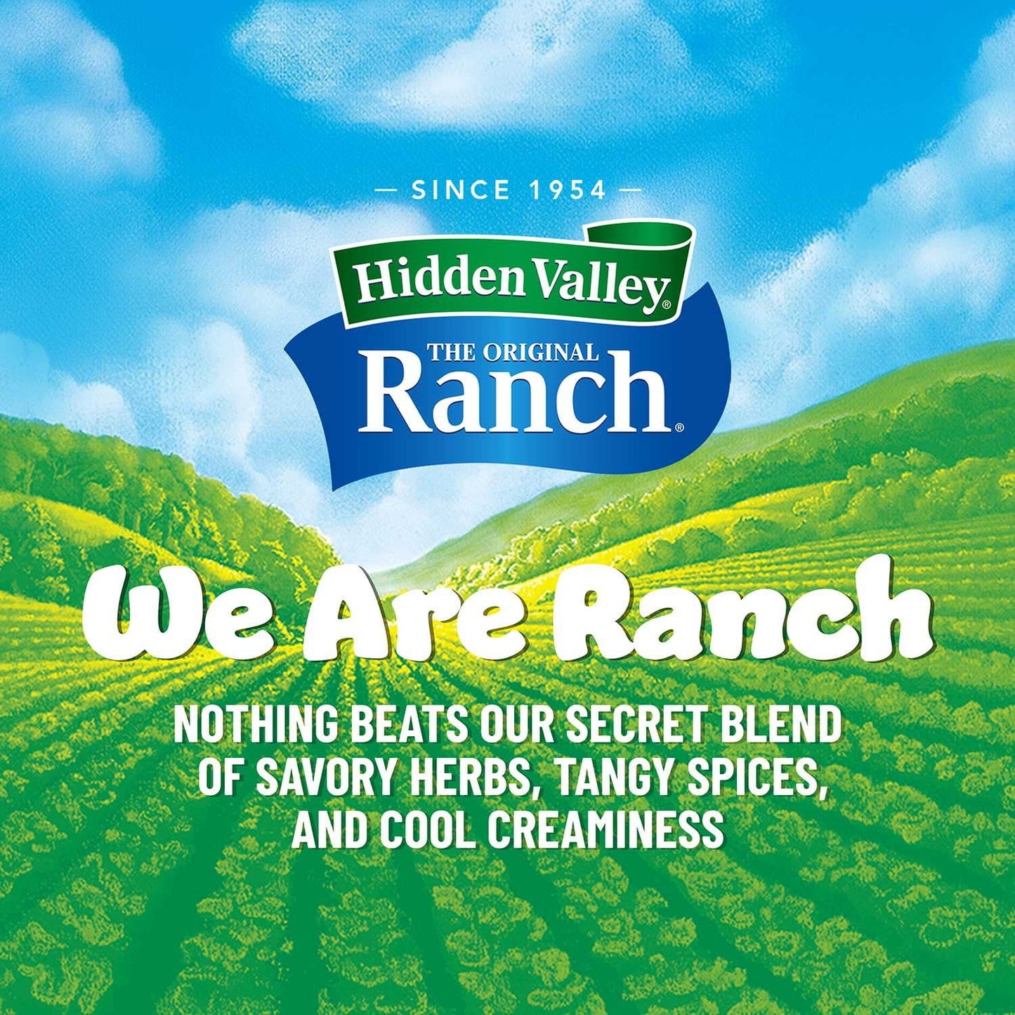 Hidden Valley Original Ranch Salad Dressing & Seasoning Mix – 16 oz