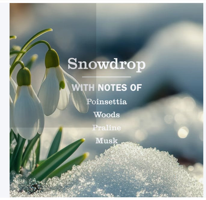 Liquid Dish Soap – Snow Drop Scent, Gentle Cleaning Formula (16 oz)