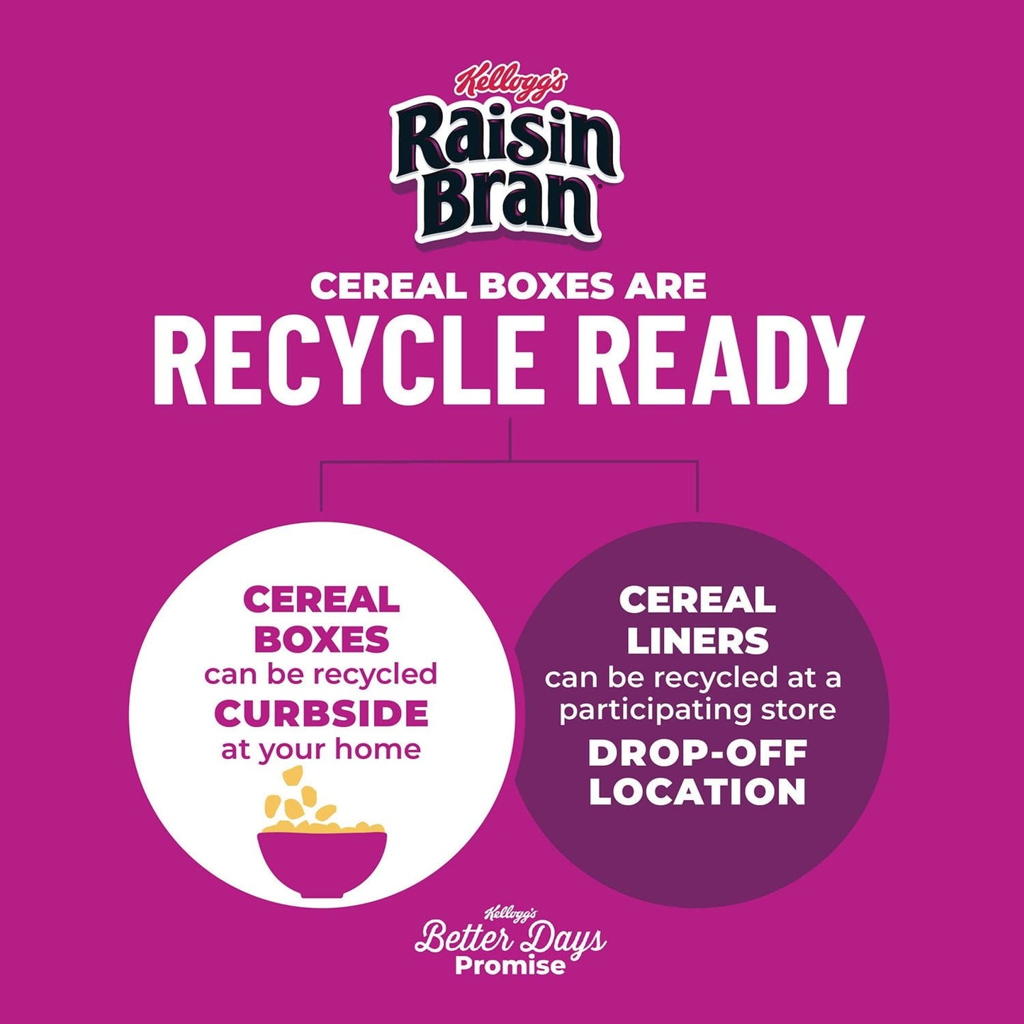 Kellogg’s Raisin Bran Breakfast Cereal – 76.5 oz