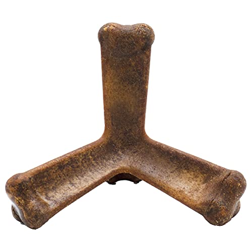 N-Bone Interactive Treat